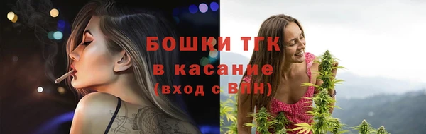 ГАЛЛЮЦИНОГЕННЫЕ ГРИБЫ Алзамай