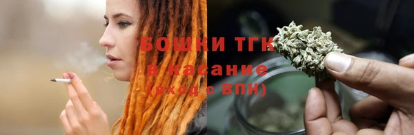 ГАЛЛЮЦИНОГЕННЫЕ ГРИБЫ Алзамай