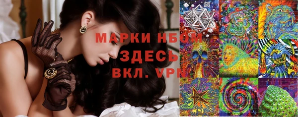ГАЛЛЮЦИНОГЕННЫЕ ГРИБЫ Алзамай