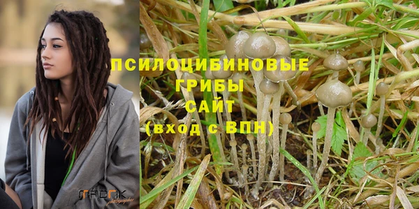 ГАЛЛЮЦИНОГЕННЫЕ ГРИБЫ Алзамай