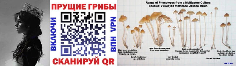 МЕГА как зайти  Нижние Серги  Галлюциногенные грибы Magic Shrooms 